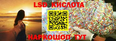 гидропоника Сланцы
