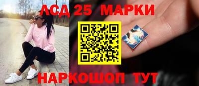 гидропоника Сланцы