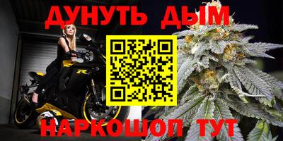 гидропоника Сланцы