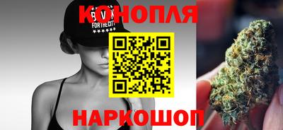 гидропоника Сланцы