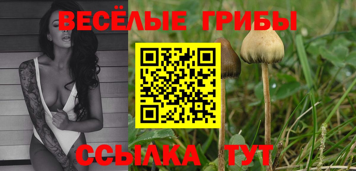 Галлюциногенные грибы Psilocybine cubensis  Галлюциногенные грибы Cubensis  Вход с VPN  Учалы 